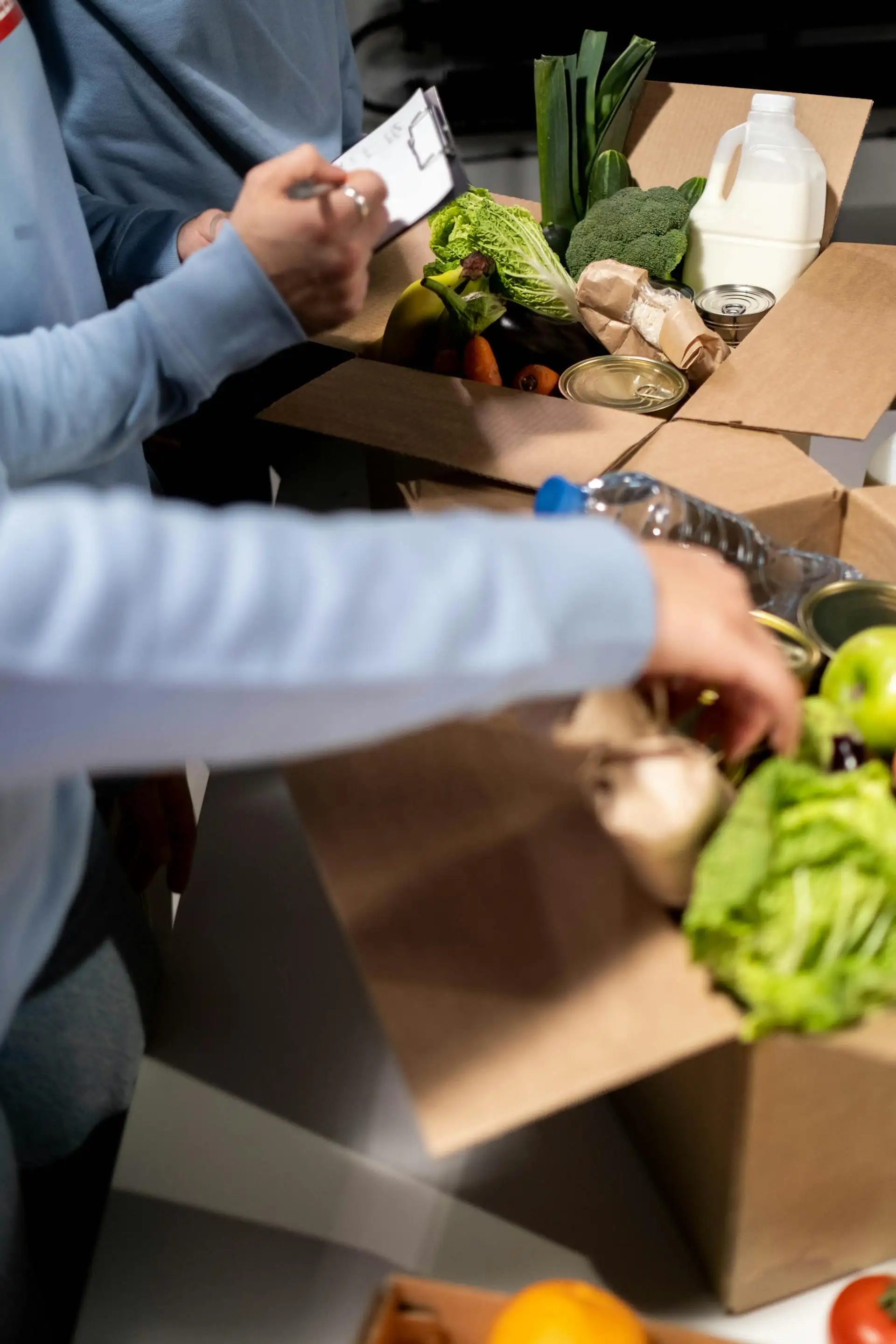 Food Support Program